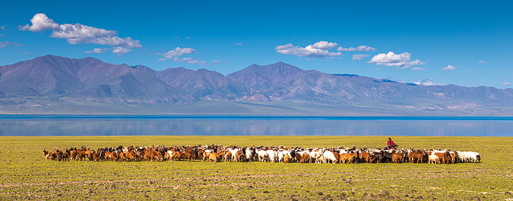 Flights to Mongolia